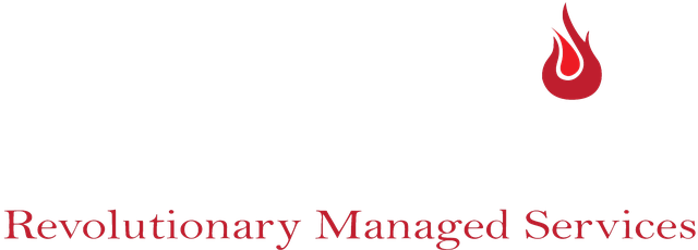Torchsec